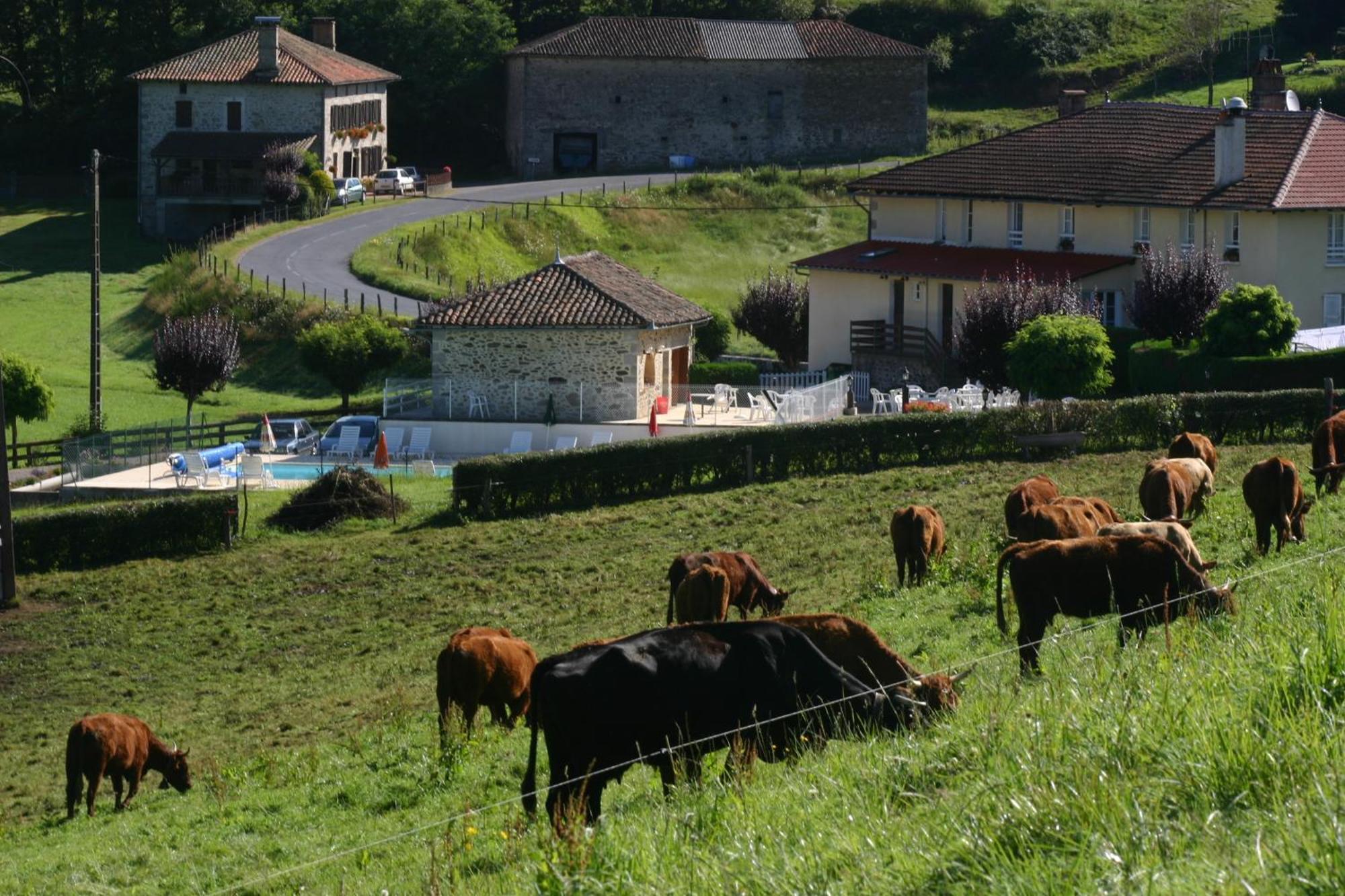Le Ranfort Chambres d'Hôtes Calviac Exterior foto